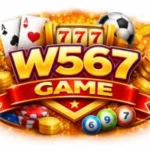W567 GAME
