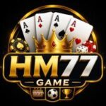 HM77 GAME
