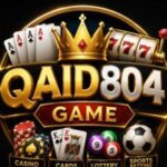 QAID804 GAME