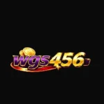 WGS456 GAME